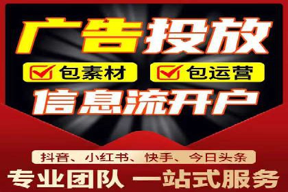 行业领先SEM托管代运营案例